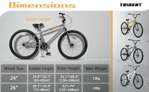 AVASTA Vélo BMX Freestyle de 24" pour débutants et confirmés avec 2 pegs Trick Cycling et Riding professionnel, noir :Sports et Loisirs